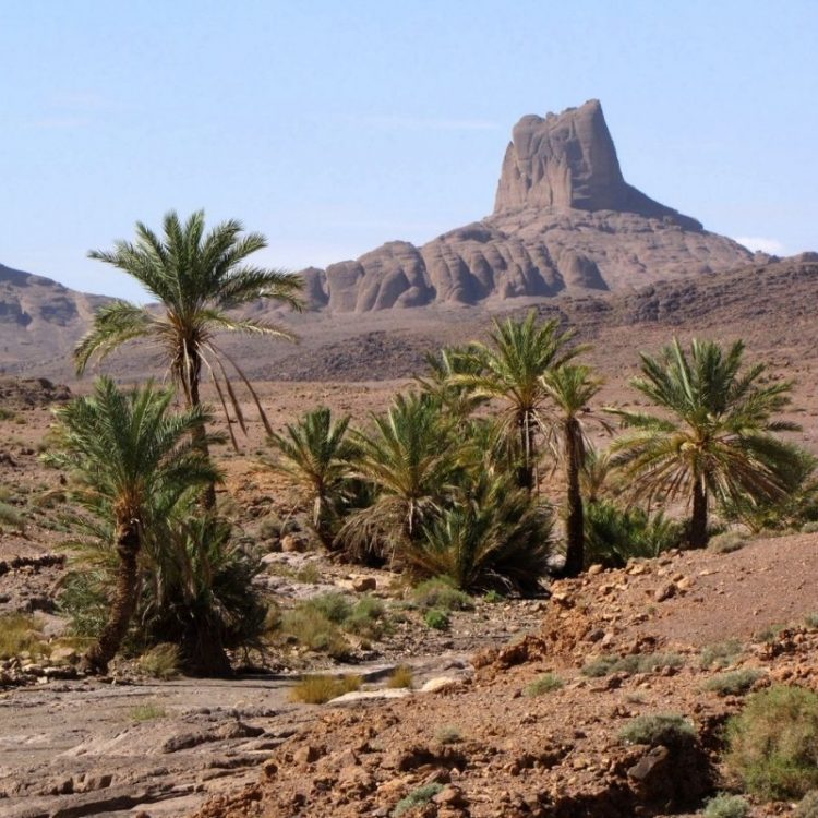 Trekking del Saghro en Marruecos