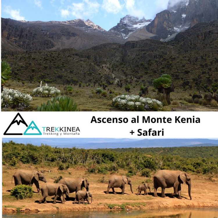 Monte Kenia y Safari