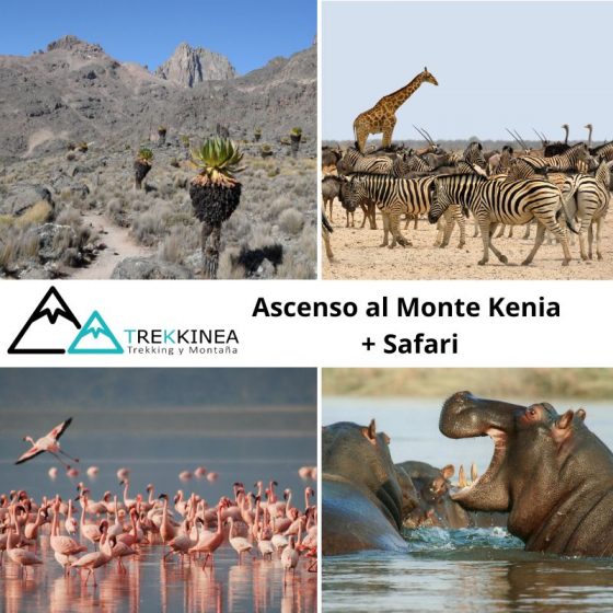 Monte Kenia y Safari Viaje