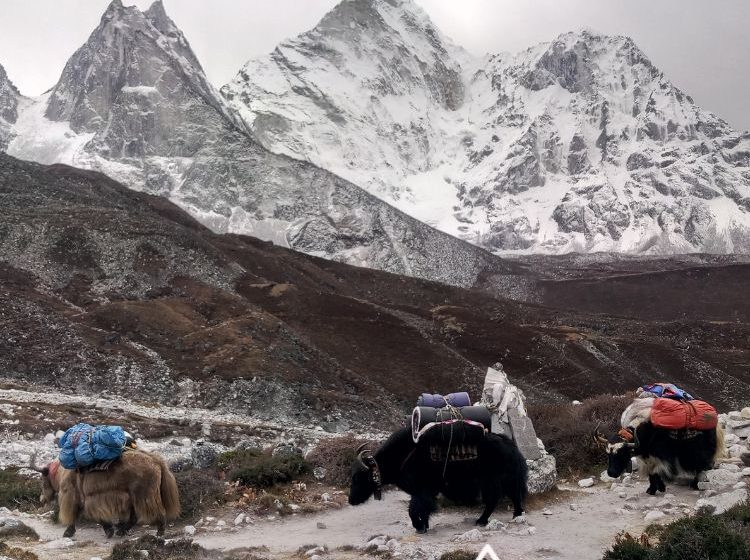 Trekking del Everest, Nepal