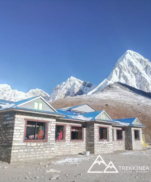 Trekking del Everest Viajes Trekkinea