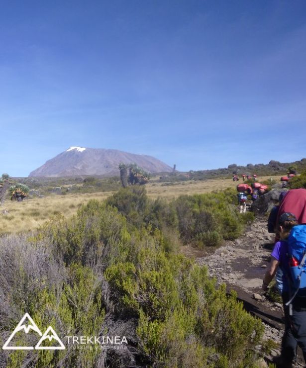 Ruta Marangu al Kilimanjaro