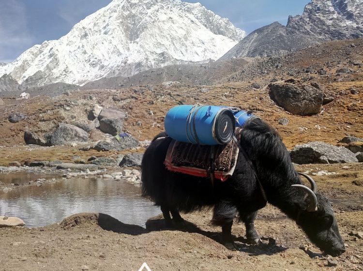 Trekking del Everest por el valle del Khumbu