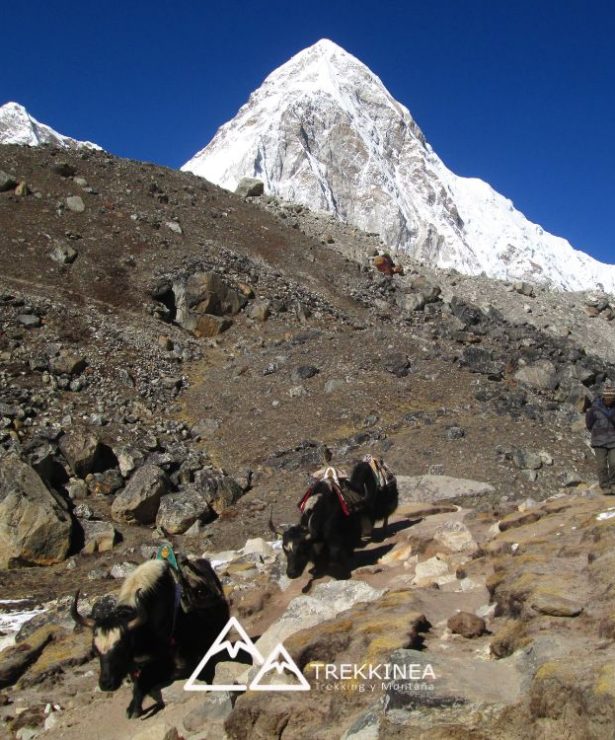 Viajes de montaña Trekkinea
