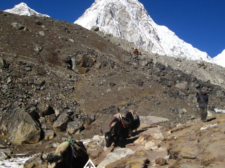 Viajes de montaña Trekkinea