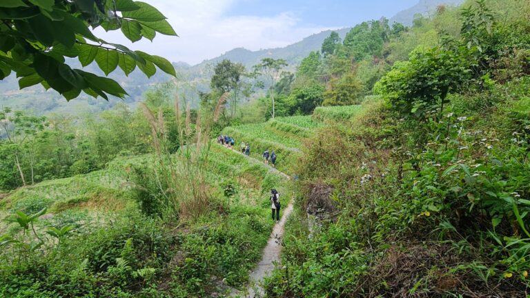 Trekking en Vietnam