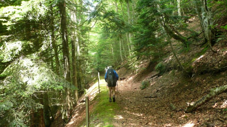 Trekking Pirineos Senda de Camille