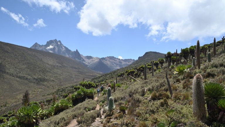 Ascenso al Monte Kenia y safari