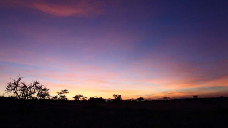 Safari en Tanzania