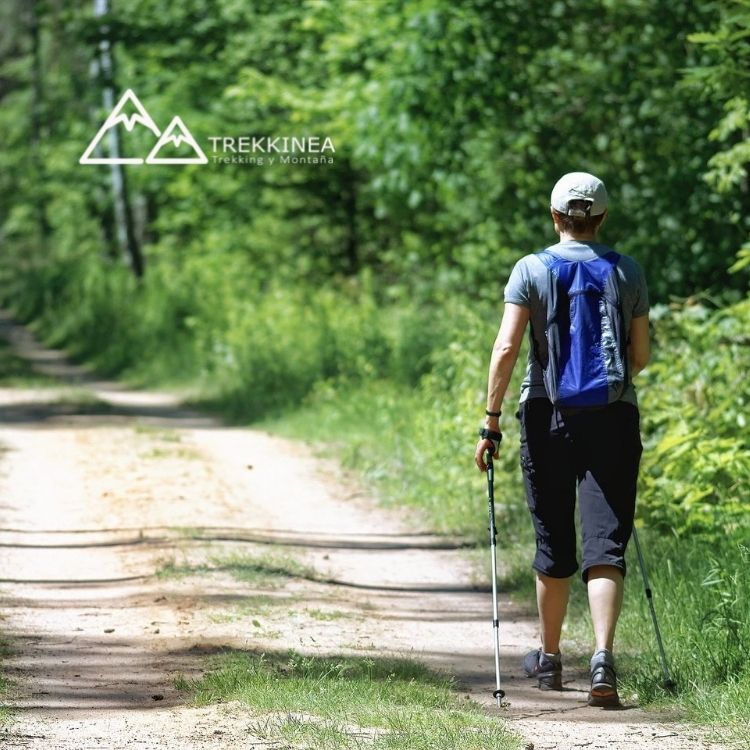 Bastones de Trekking