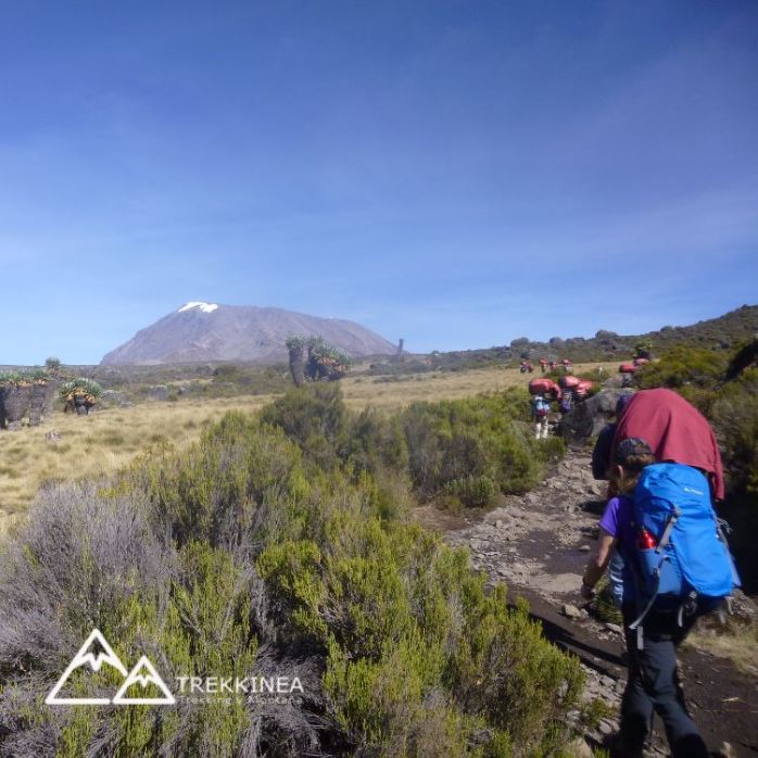 Ascenso al Kilimanjaro