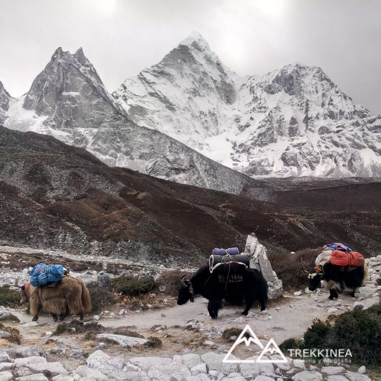 Trekking del Everest, Nepal