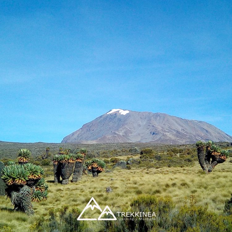 Ascensión al Kilimanjaro