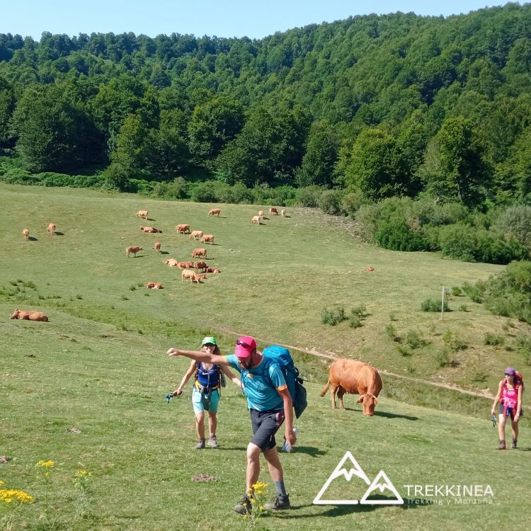 Anillo Picos de Europa
