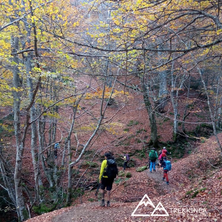 Trekking Parque Natural de Redes Brañagallones