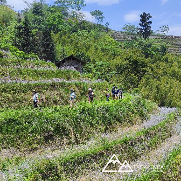 Trekking en Vietnam