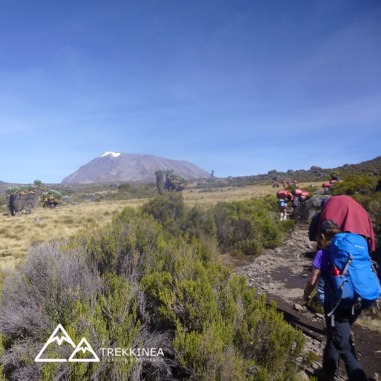 Ruta Marangu al Kilimanjaro