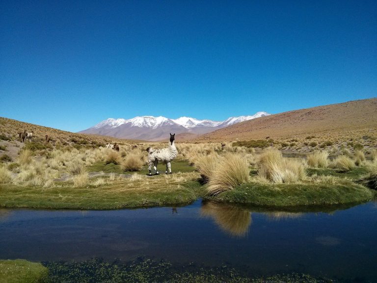 Ascensión al Huayna Potosí – foto 3