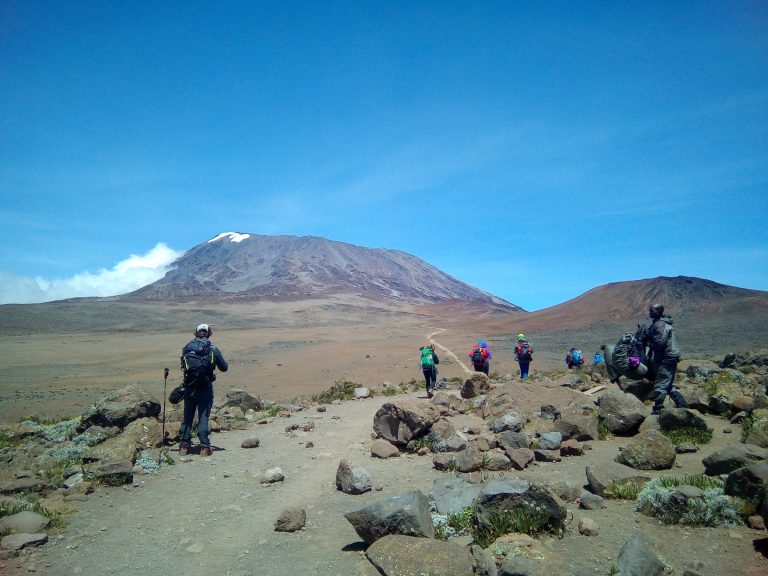 Ascenso al Kilimanjaro – Ruta Marangu – foto 4