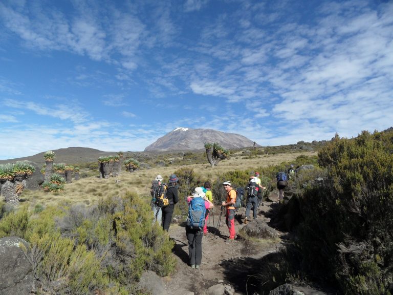 Ascenso al Kilimanjaro – Ruta Marangu – foto 6