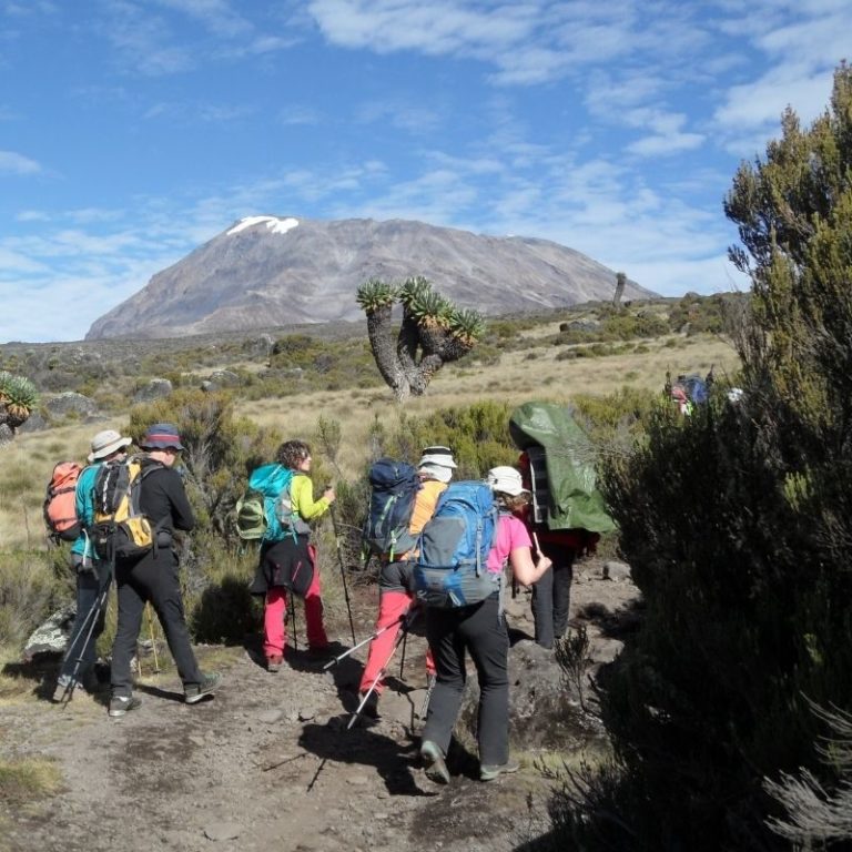 Ascenso al Kilimanjaro y Monte Meru – foto 4