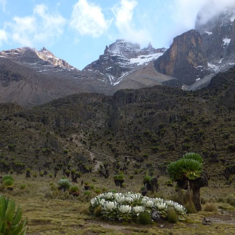 Ascenso al Monte Kenia y Safari – foto 2