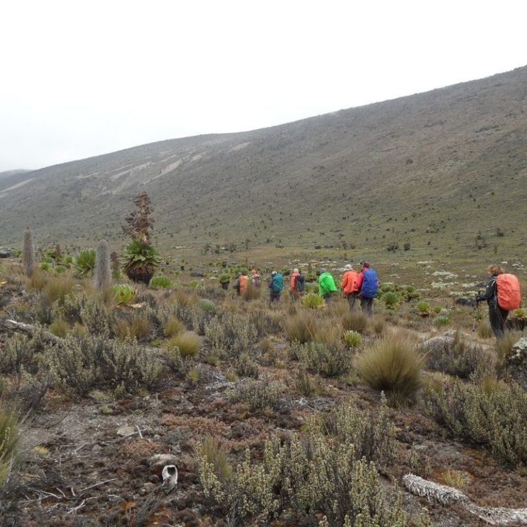 Ascenso al Monte Kenia y Safari – foto 3