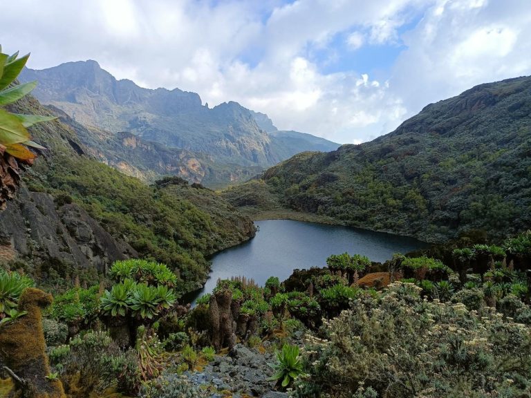 Ascenso al Rwenzori