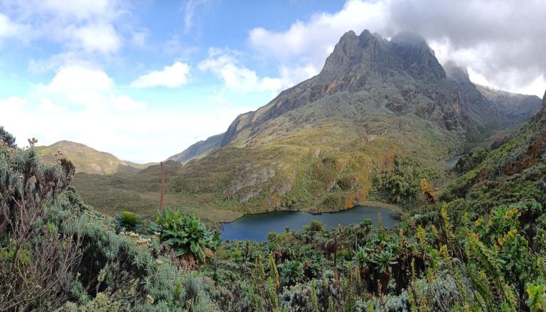 Ascenso al Rwenzori – foto 2