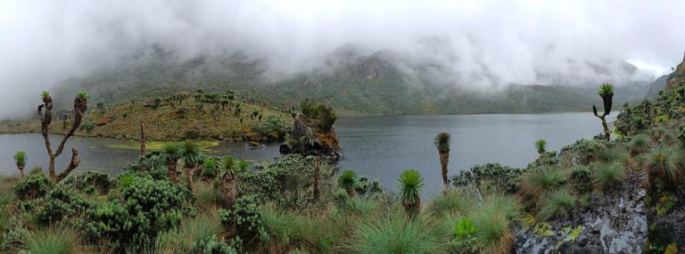 Ascenso al Rwenzori – foto 6