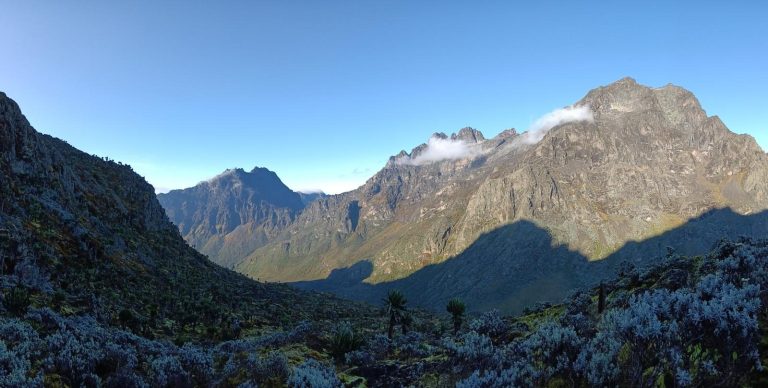 Ascenso al Rwenzori – foto 7