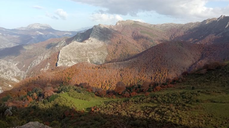 Bosques Parque Natural de Redes
