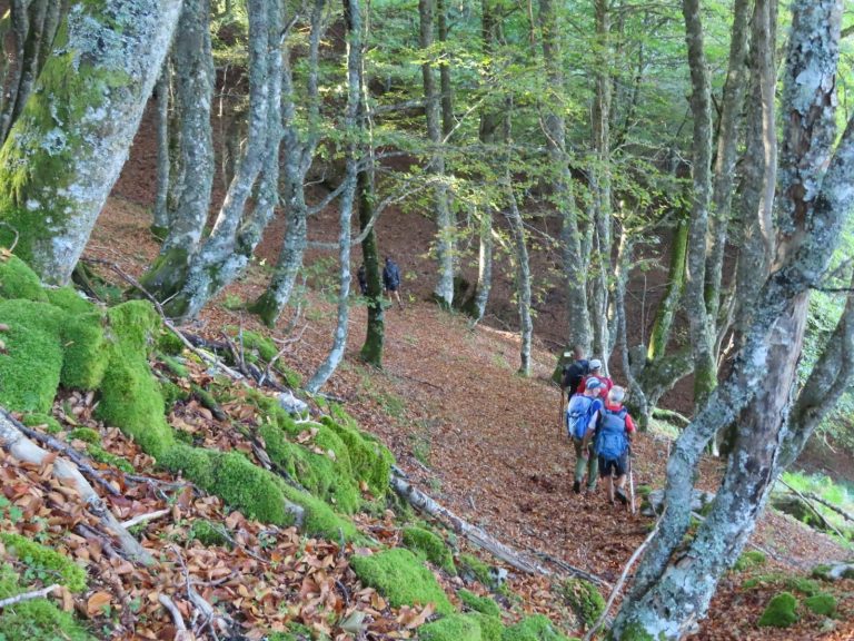 Bosques Parque Natural de Redes – foto 2