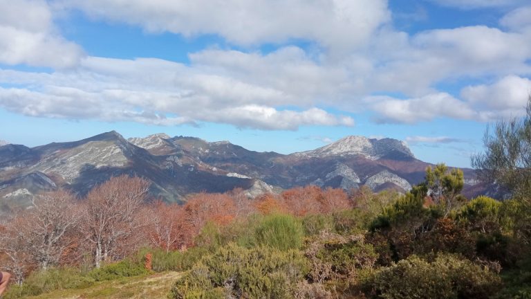 Bosques Parque Natural de Redes – foto 5