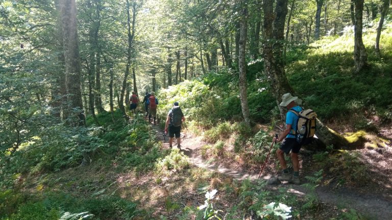 Cumbres y bosques de Valdeón