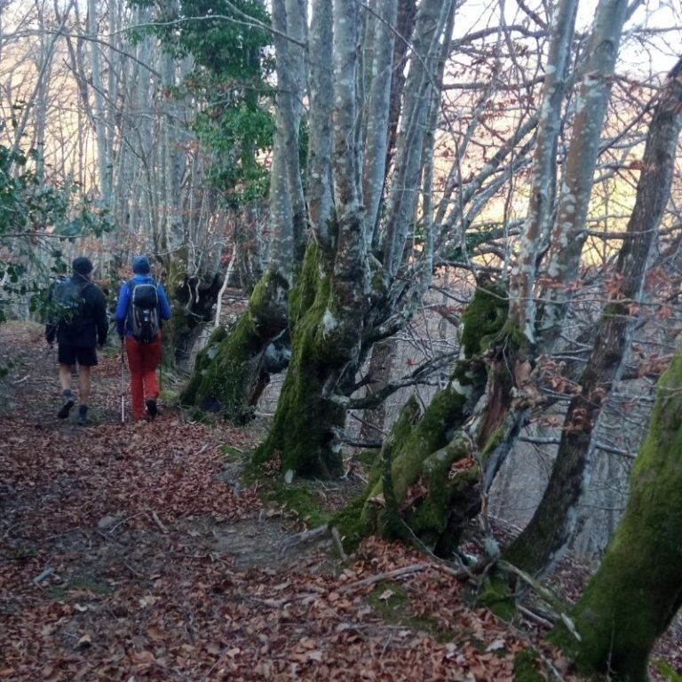 Cumbres y bosques de Valdeón – foto 2