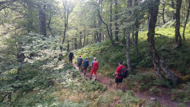 Cumbres y bosques de Valdeón – foto 3