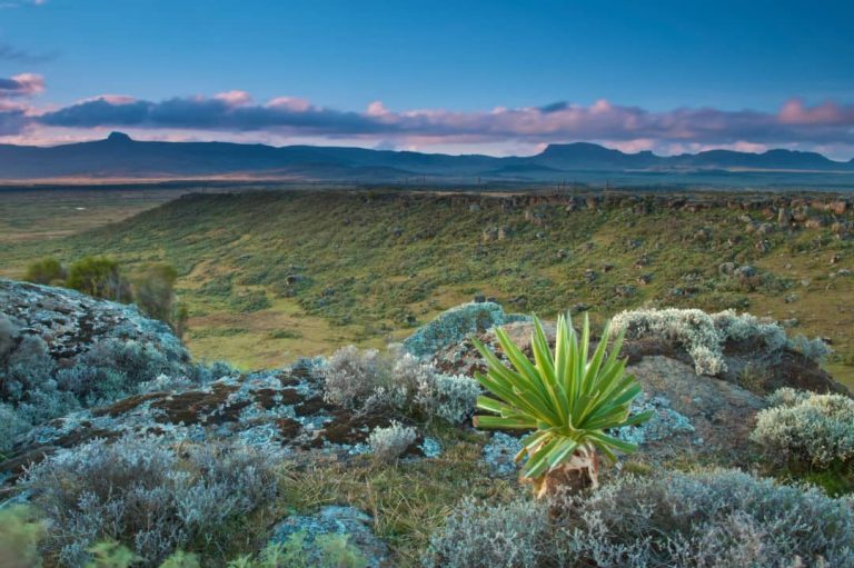 Montañas Bale y Etnias de Etiopía – foto 2