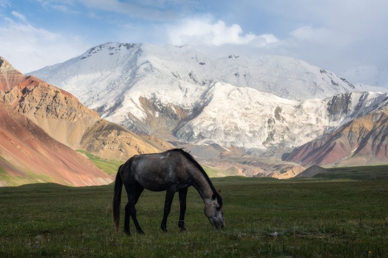 Pico Yukhin – foto 6