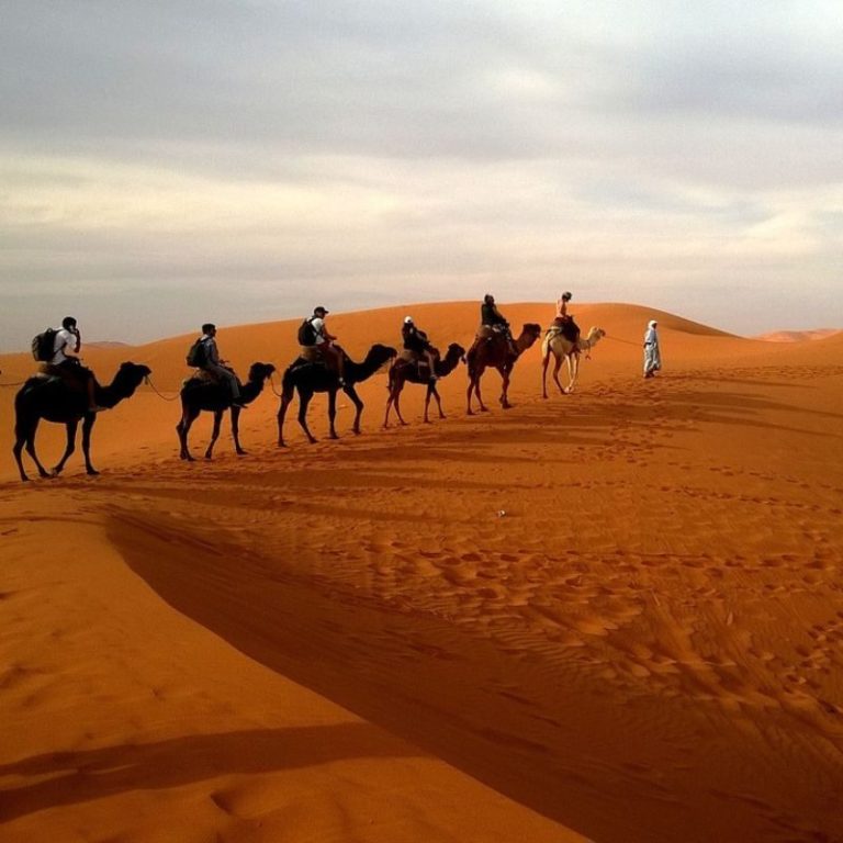Ruta al Desierto del Sahara – foto 6