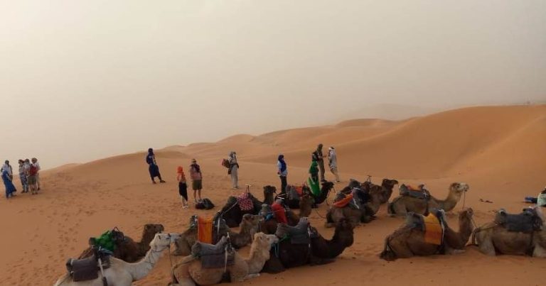 Ruta al Desierto del Sahara – foto 7