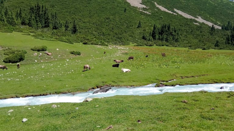 Ruta Montañas Tian Shan