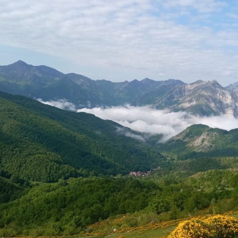 Ruta por los bosques de Picos de Europa – foto 3