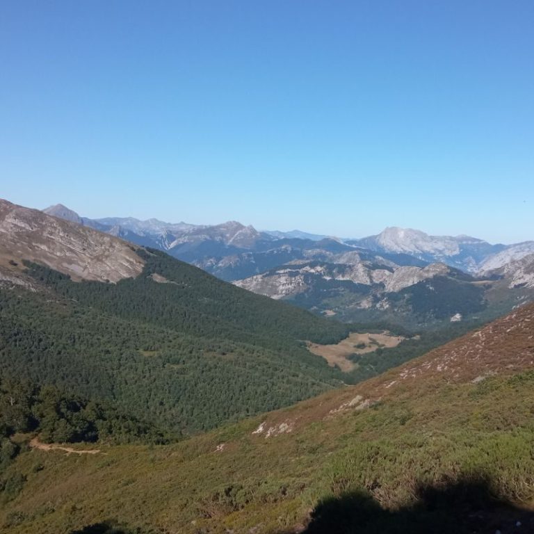 Ruta por los bosques de Picos de Europa – foto 5