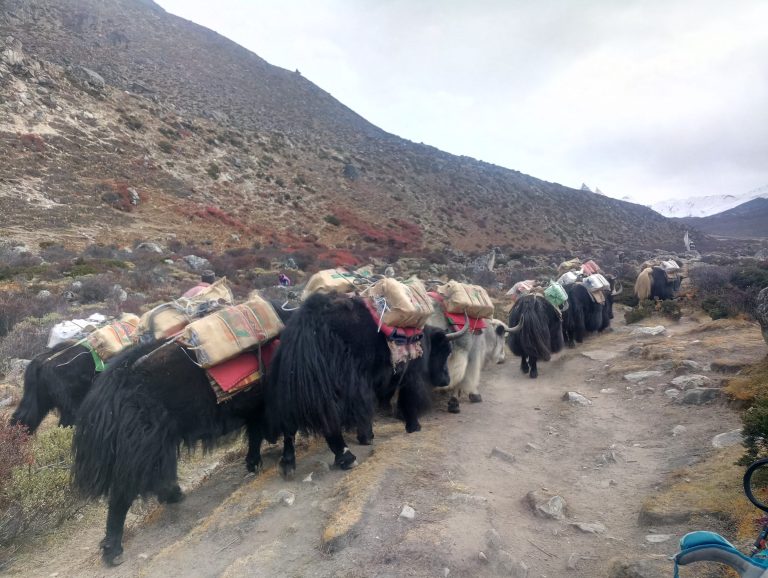 Trek Campo Base Everest por Gokyo
