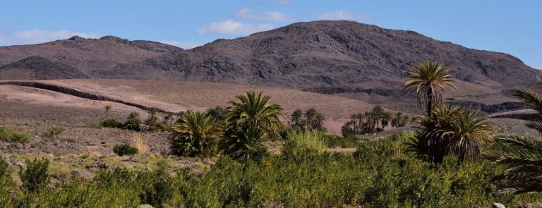 Trekking del Jbel Siroua – foto 3