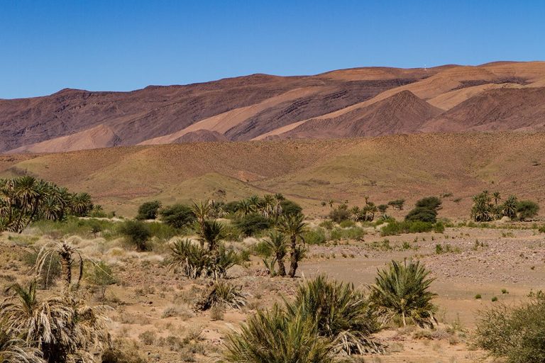 Trekking del Jbel Siroua – foto 4