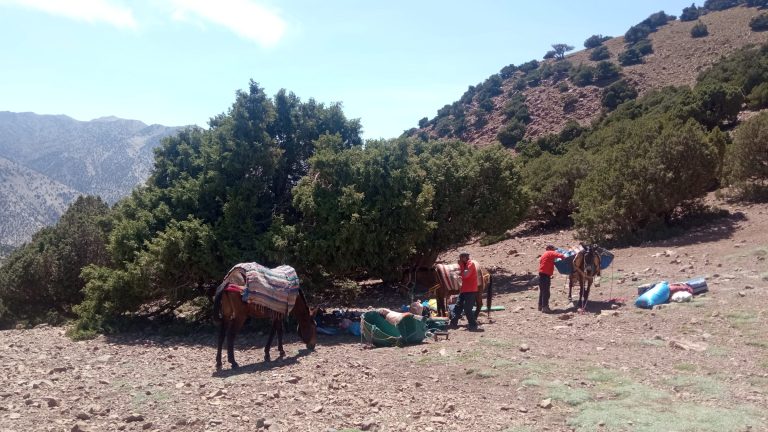 Trekking del Toubkal