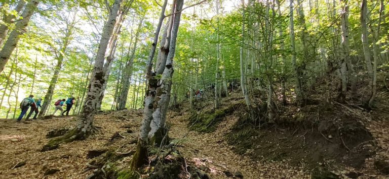 Trekking en los Alpes Dináricos – foto 5