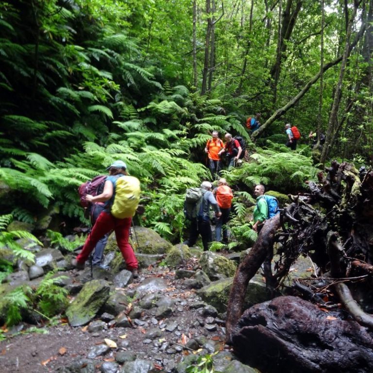 Trekking en Madeira – foto 8